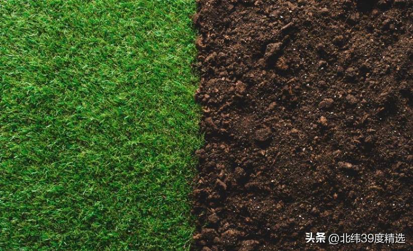 土壤生态修复 微生态环境恢复与有机质提升的协同之路